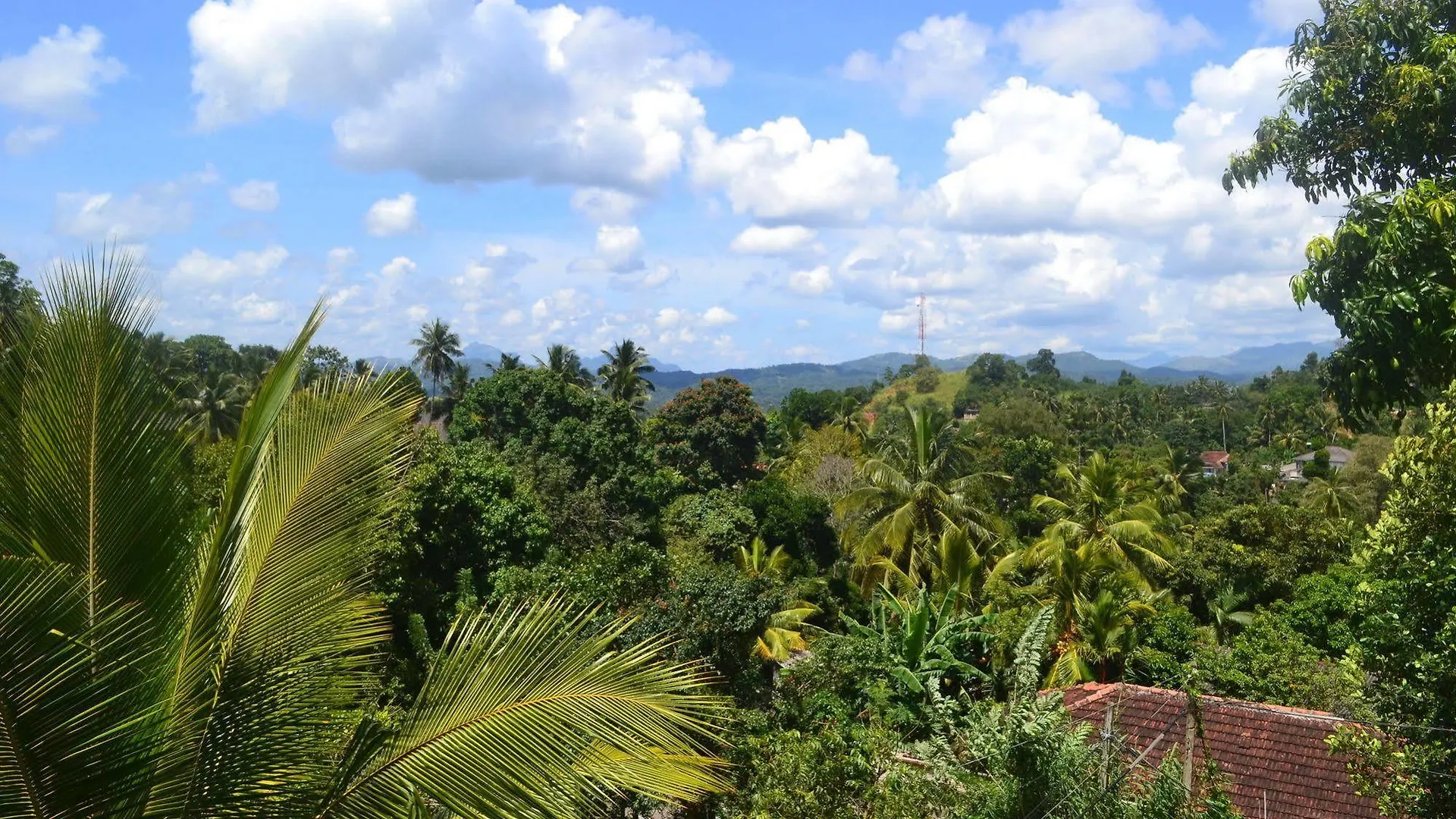 Blue Haven Guest House Kandy Sri Lanka
